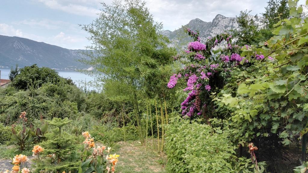 Apartment Rose Garden Risan Luaran gambar